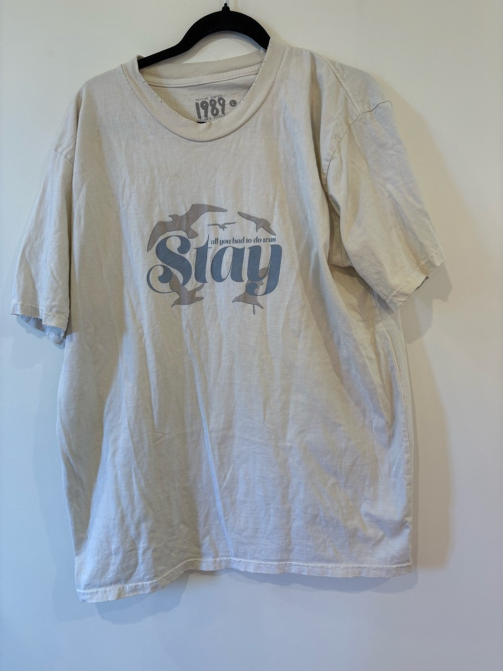 Taylor Swift Cream Tee with Light Blue 'all you had to do was Stay’ Graphic
